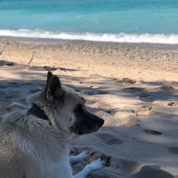 Meet your Posher, Jane - Picture 2 of 2